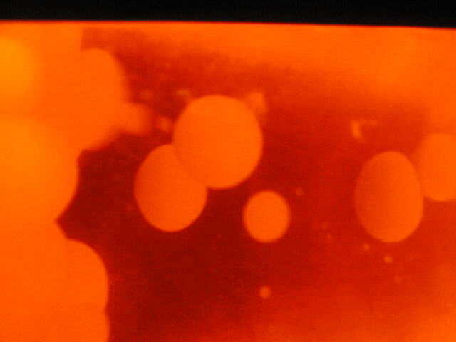 lava9.jpg